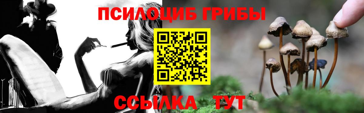 Псилоцибиновые грибы GOLDEN TEACHER Тамбов