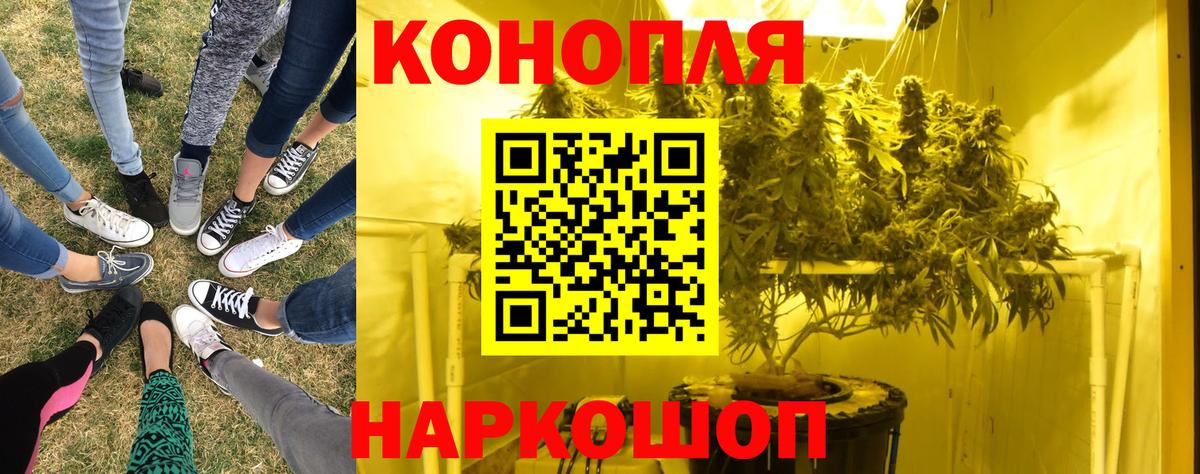 МАРИХУАНА конопля  Канабис VHQ  Вход с VPN  Тамбов  Бошки марихуана индика  Конопля план 